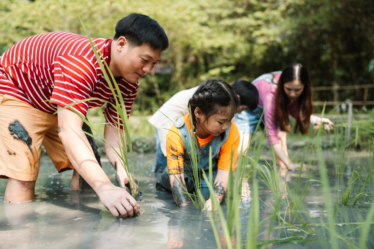深入农村一线体验生活的感受