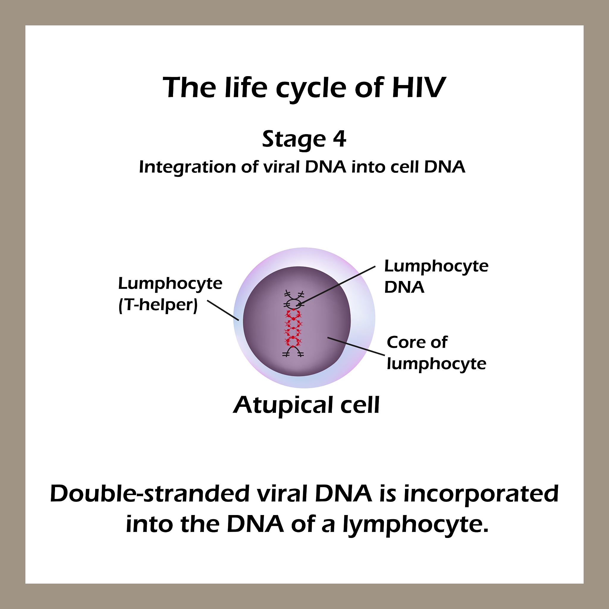 JOURNAL OF BASIC MICROBIOLOGY 期刊范围：微生物学基础研究