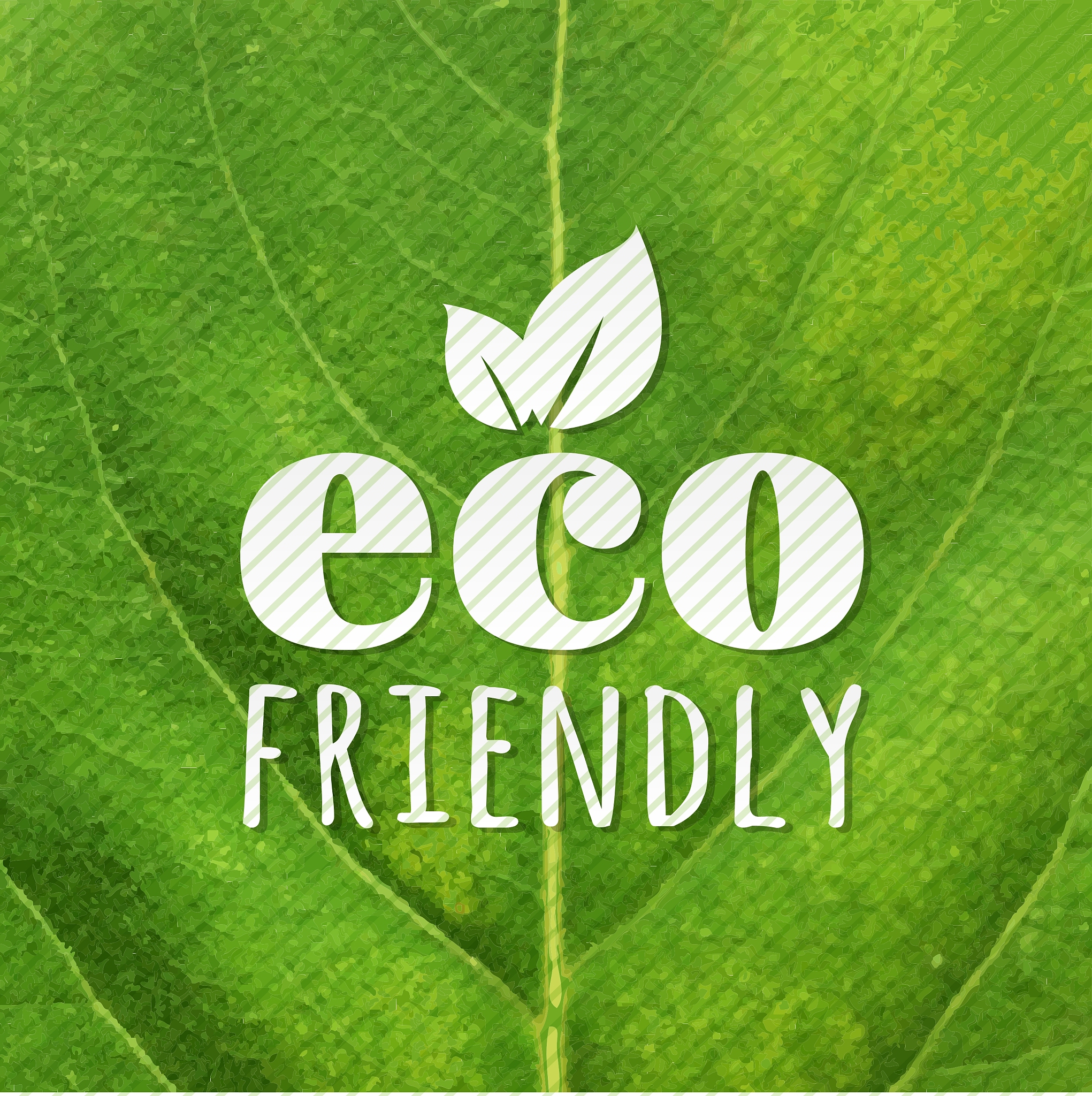 植物营养生长和生殖生长生物量采集的难题及模型校准的挑战