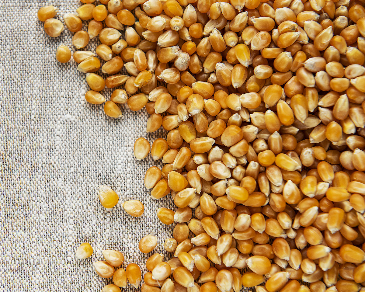 黄色种子：常见类型及用途