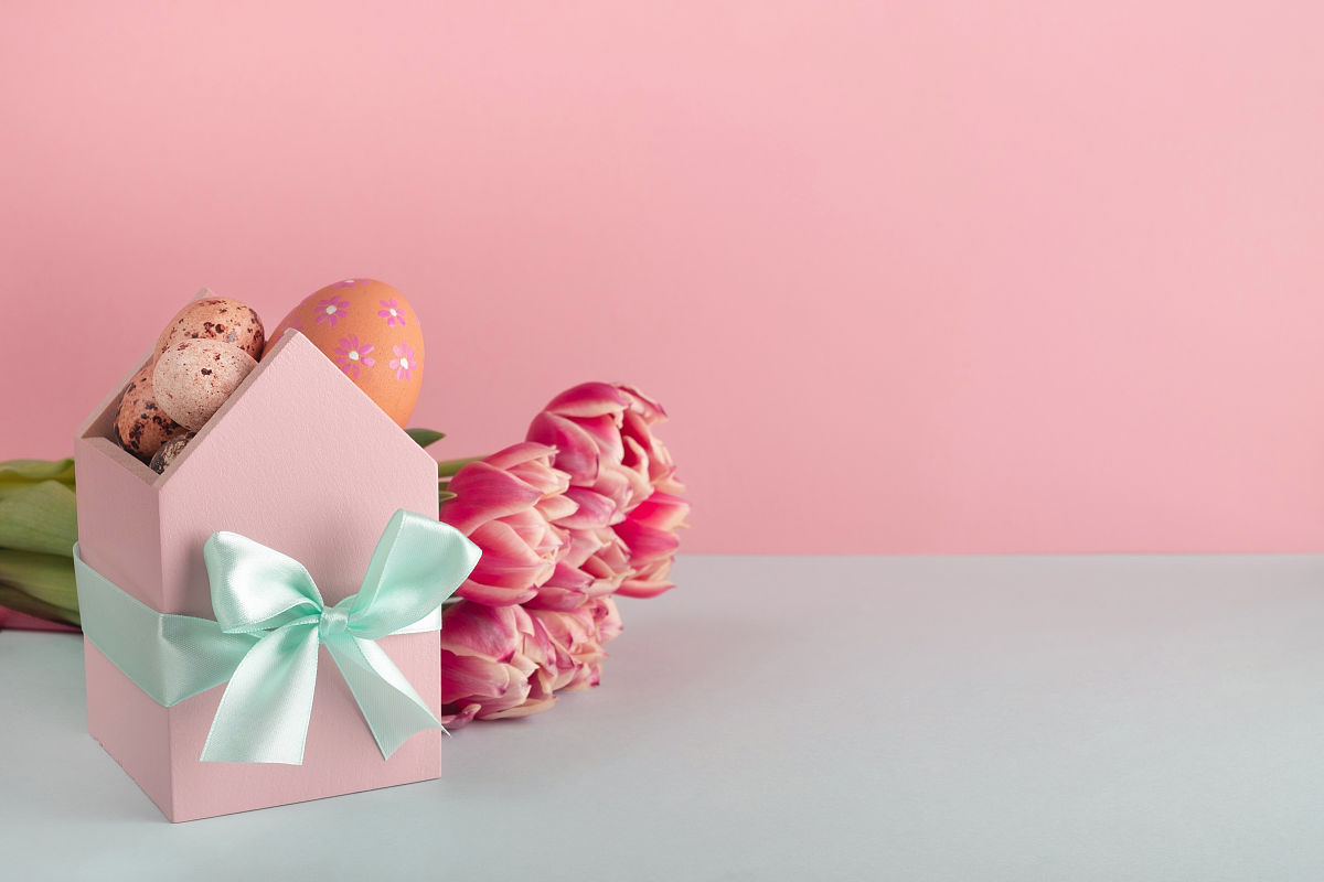 感恩之心，一路同行：小学生作文