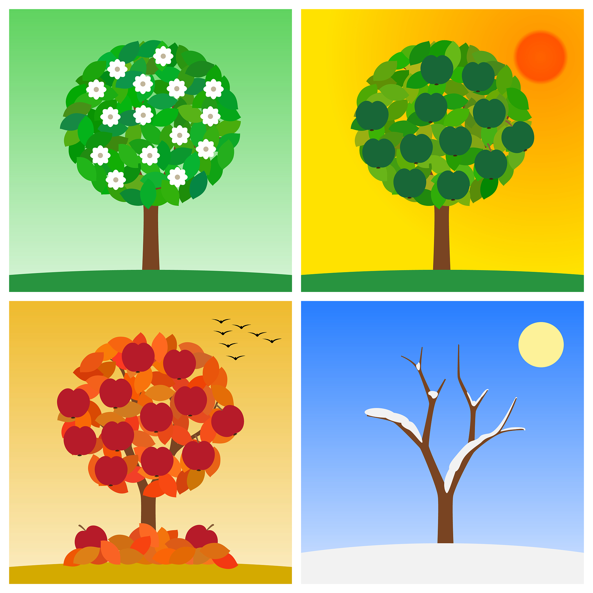 一年级下册《春夏秋冬》教案 - 认识四季，感受自然变化