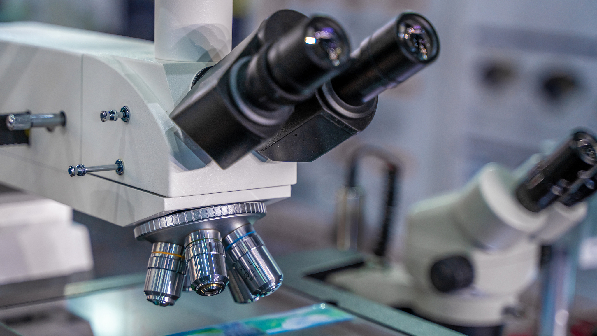 沧州2022年有哪些有卫校的大专院校