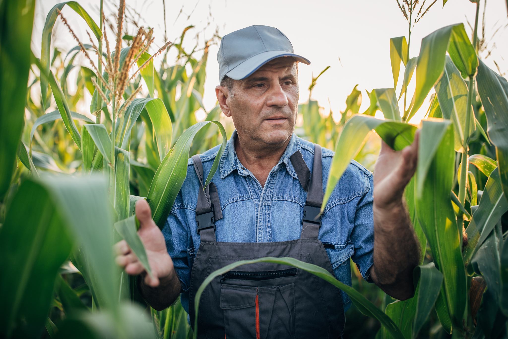 黑龙江农业职业技术学院老年服务与管理专业优势怎么样发展前景好不好呢