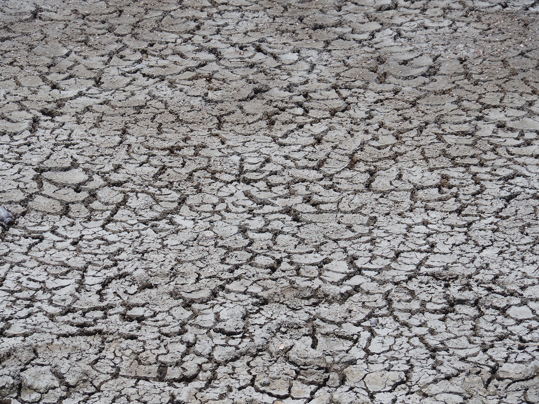 不同深度的软土微观结构有什么区别
