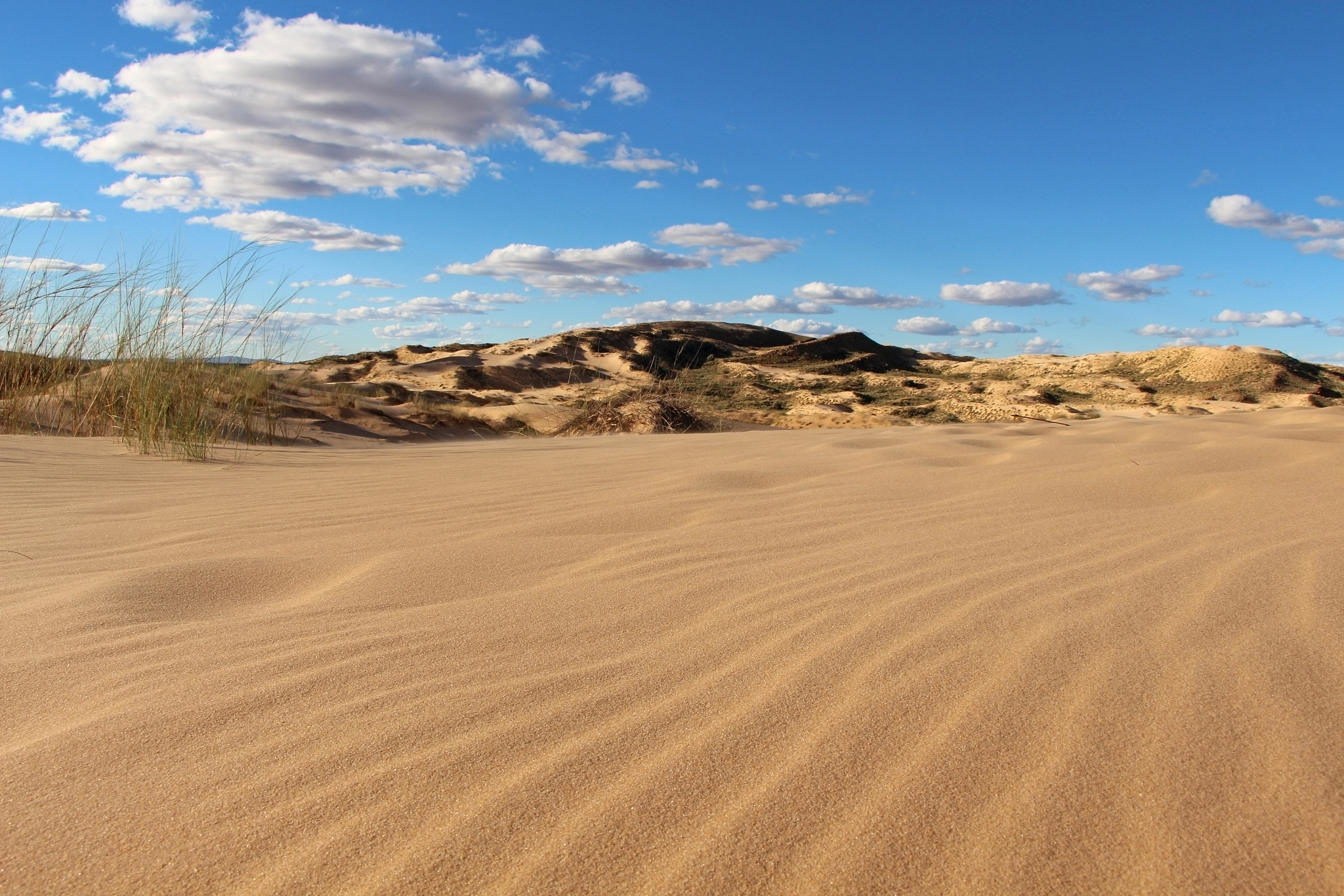 kalahari desert