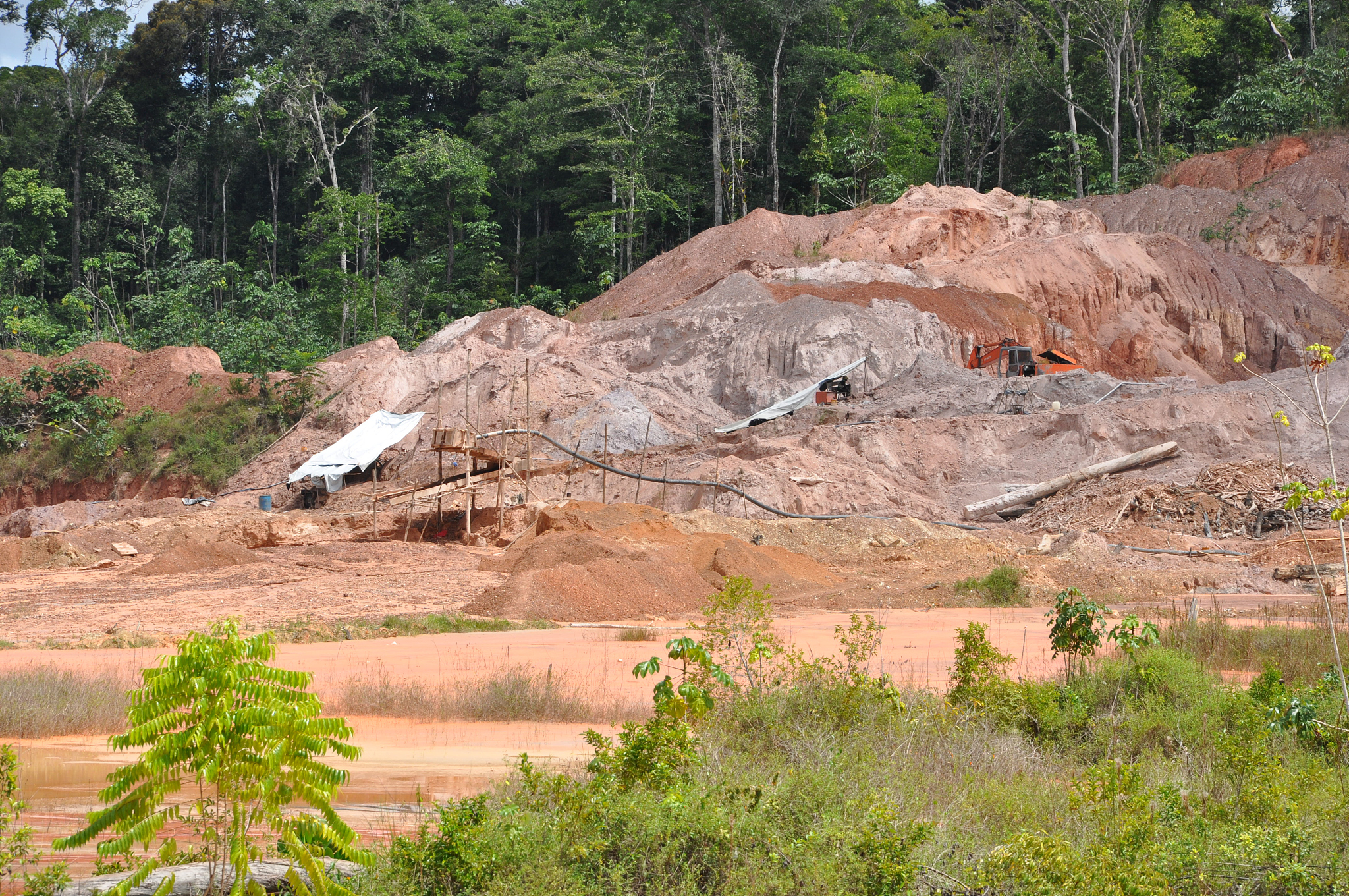 遵义市锰矿区土壤重金属污染调查与分析