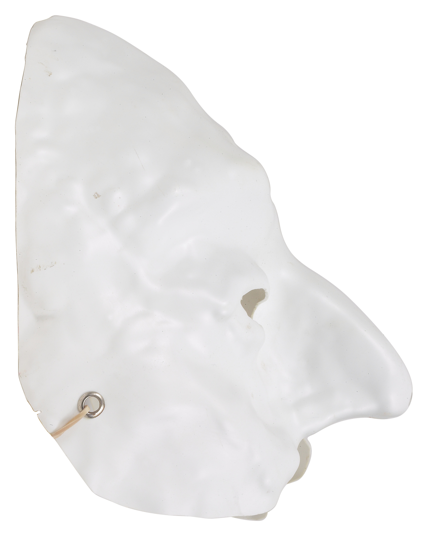 光面假体和毛面假体都有什么区别呢？