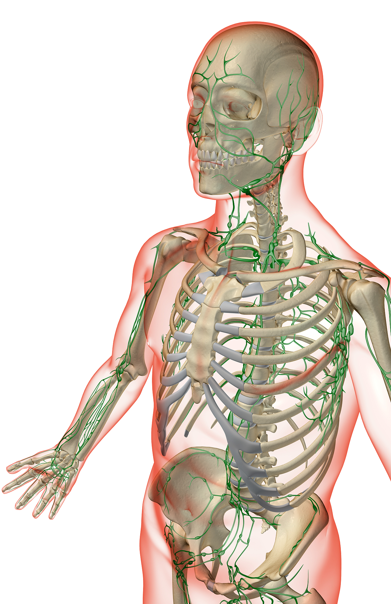 锁骨上区淋巴结属于颈部几区淋巴结