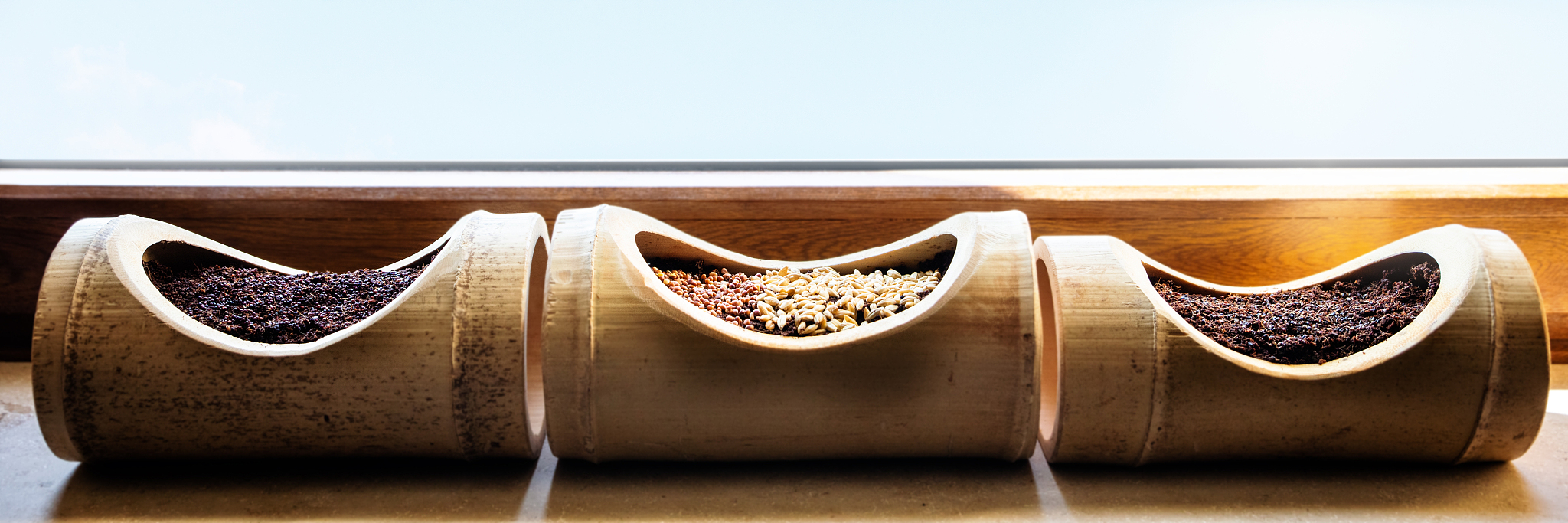 新会成人中等专业学校经济管理专业怎么样