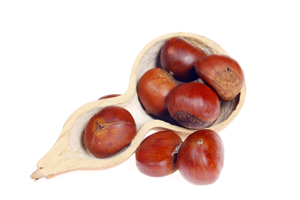 临沂哪里产的栗子好吃？