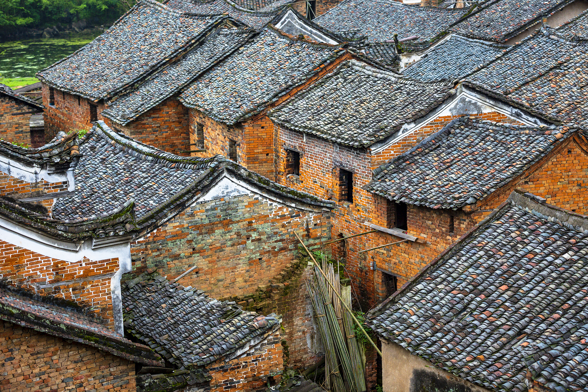 你是一名高中生你利用假期研究了龙岩古村落你收获很多请你写一篇500字的研究感想