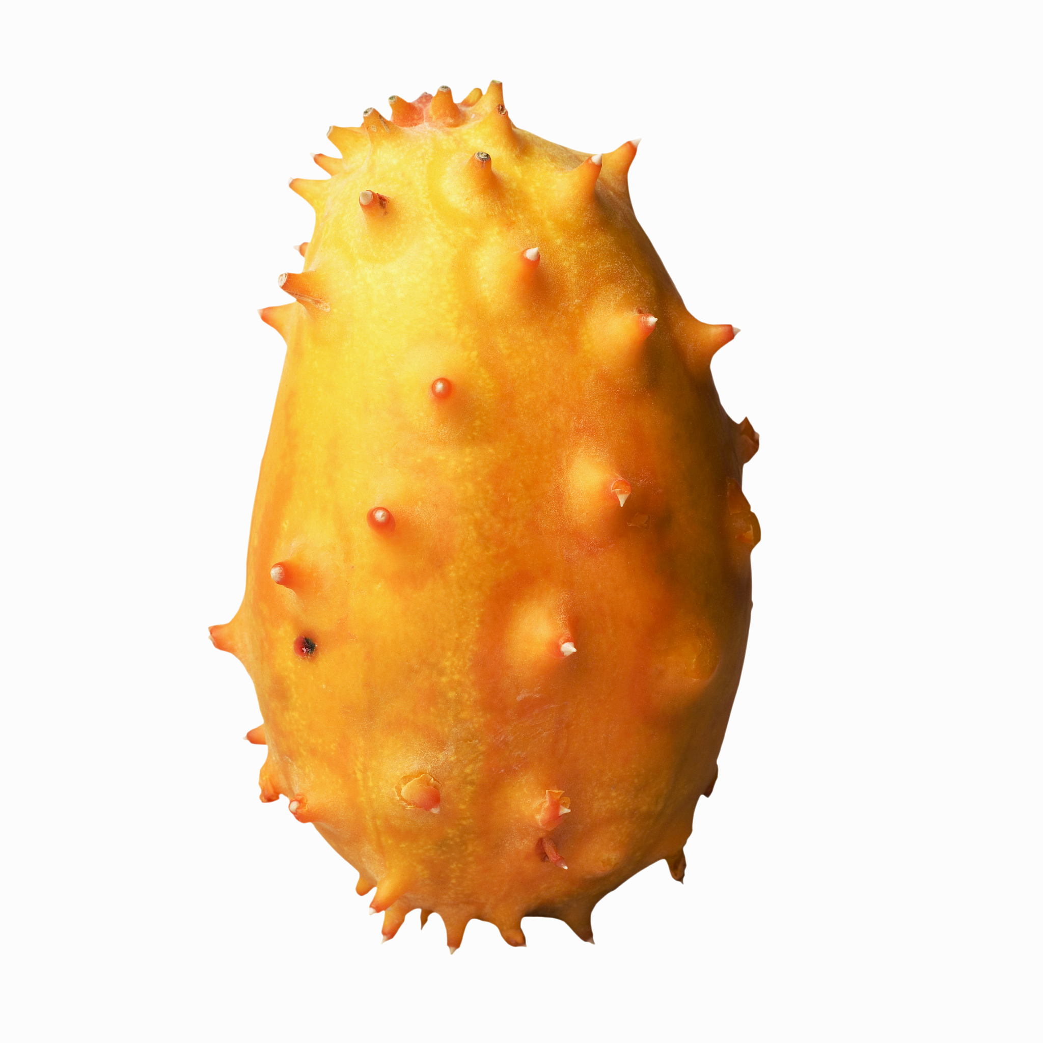 空乘体重要求：BMI不超过25，安全与健康的考量