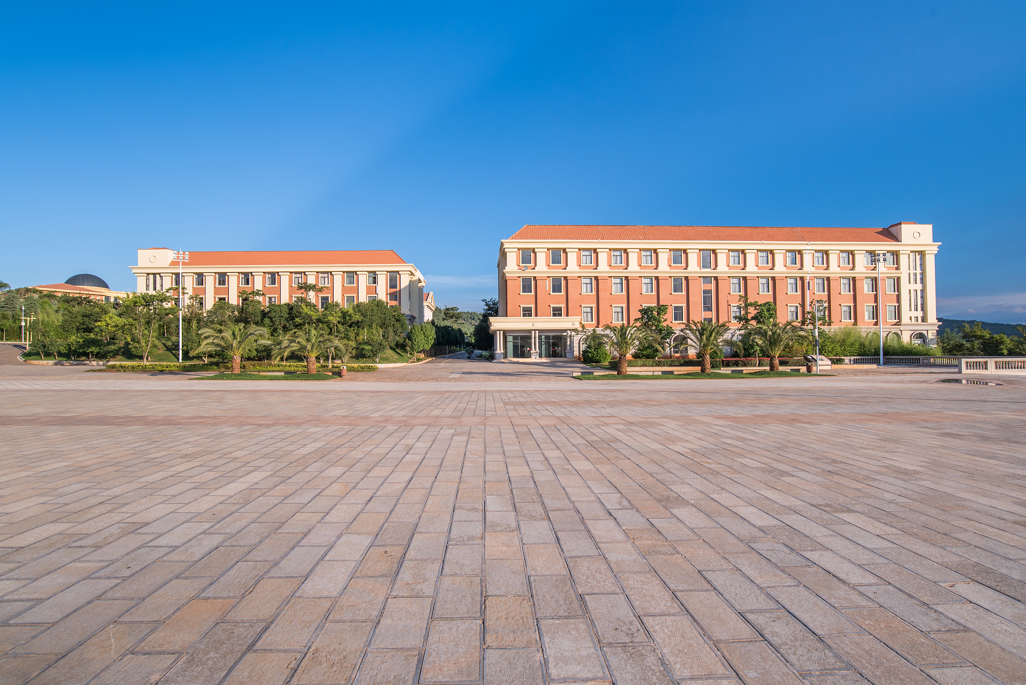 云南大理农业学校2022年有哪些专业