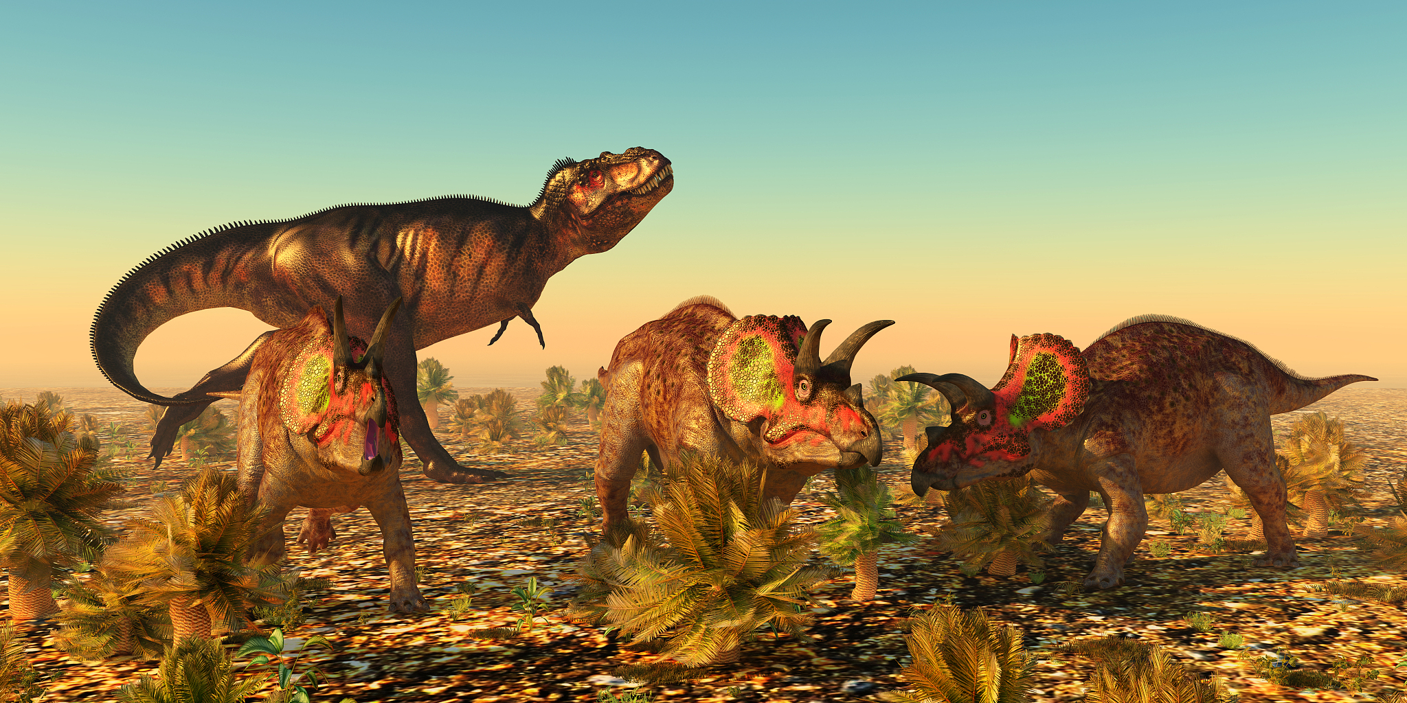triceratops dinosaurs in danger