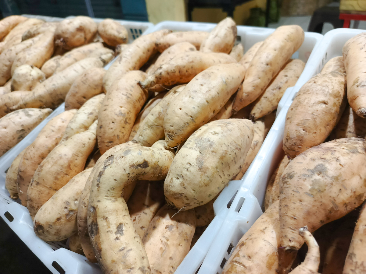 云南雪莲果有什么作用