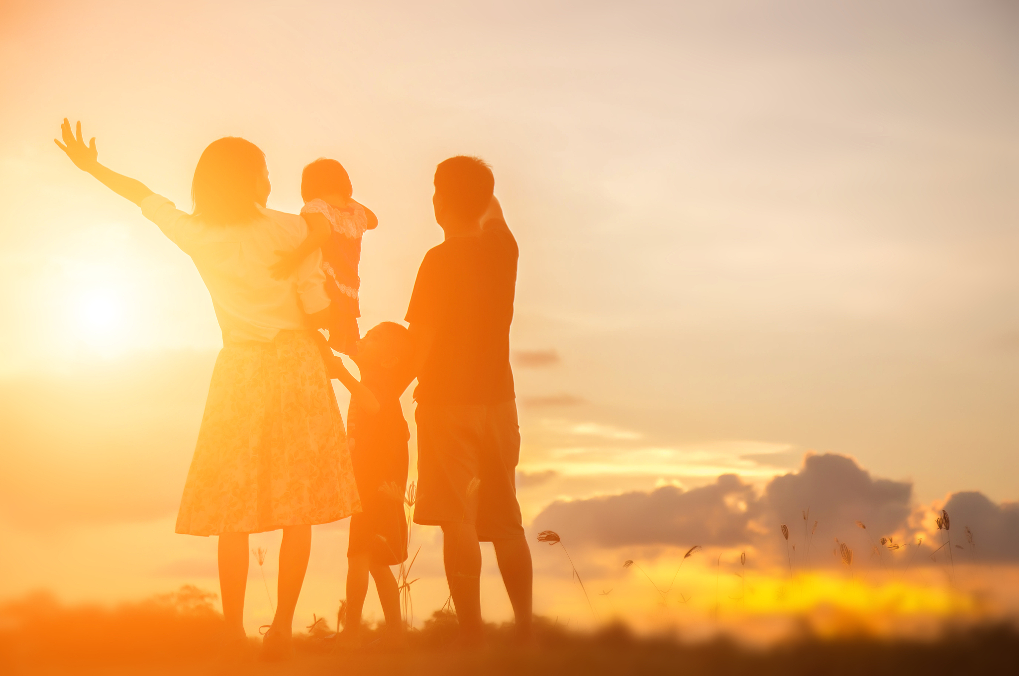 无法割舍的爱：家人的温暖与力量