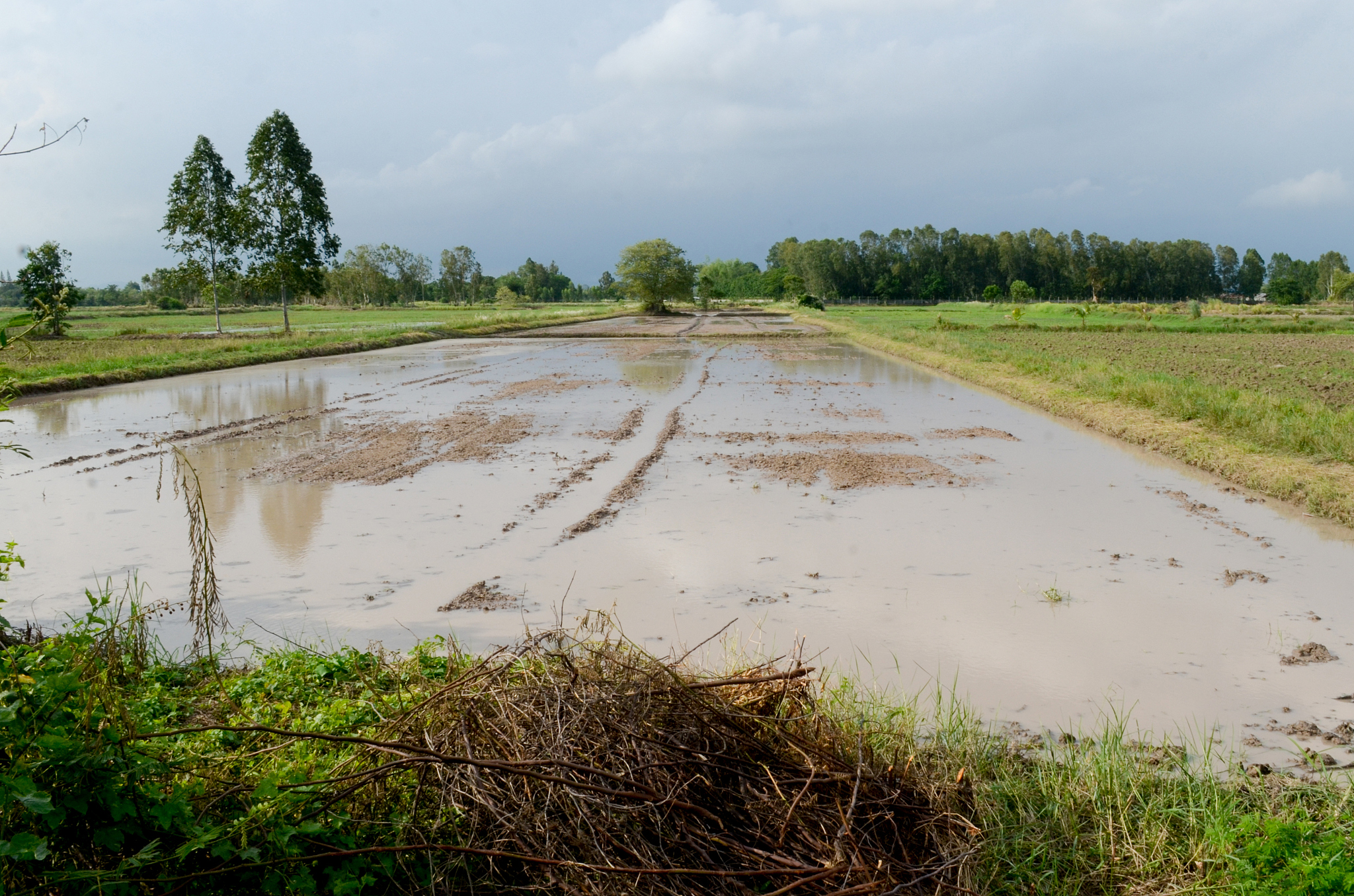 水田中修建田坎：合理性分析及是否改变土地性质