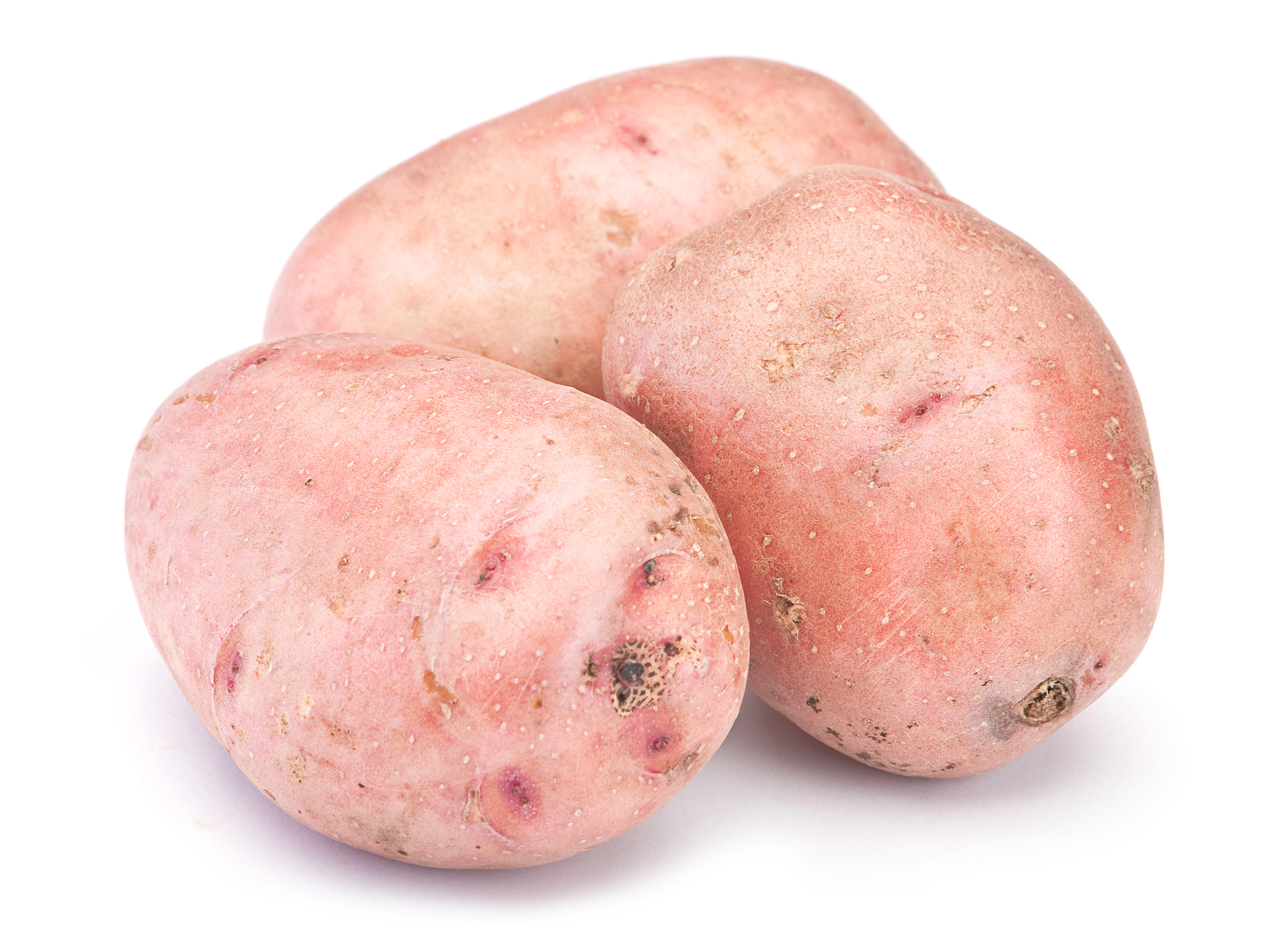 Please use What is the best size grow bag for potatoes as a title to generate a 1000-2000 word introduction and evaluation as well as consumer feedback