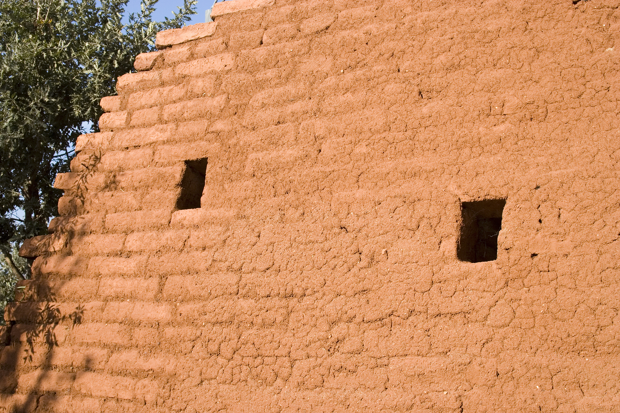 特洛伊木马与罗马母狼育婴:古代传说中的智慧与命运 特洛伊木马与罗马母狼育婴:古代传说中的智慧与命运