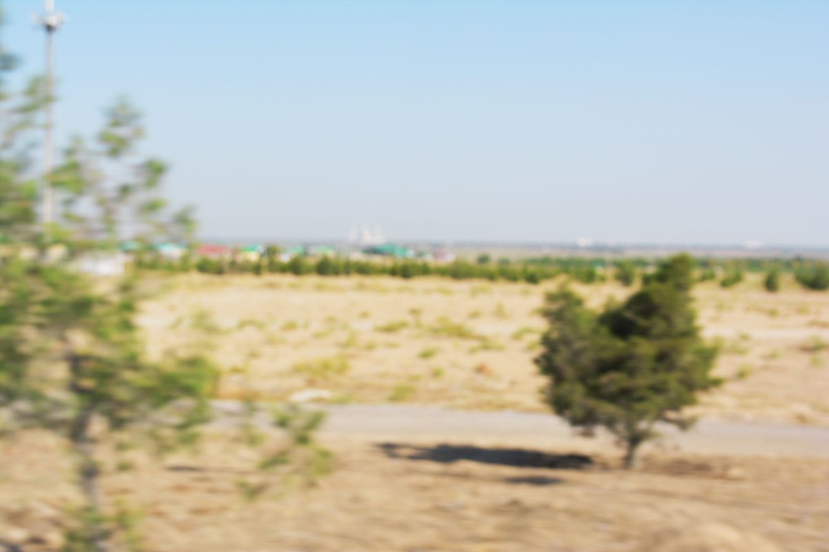 盐碱地应该种植什么来防沙治沙