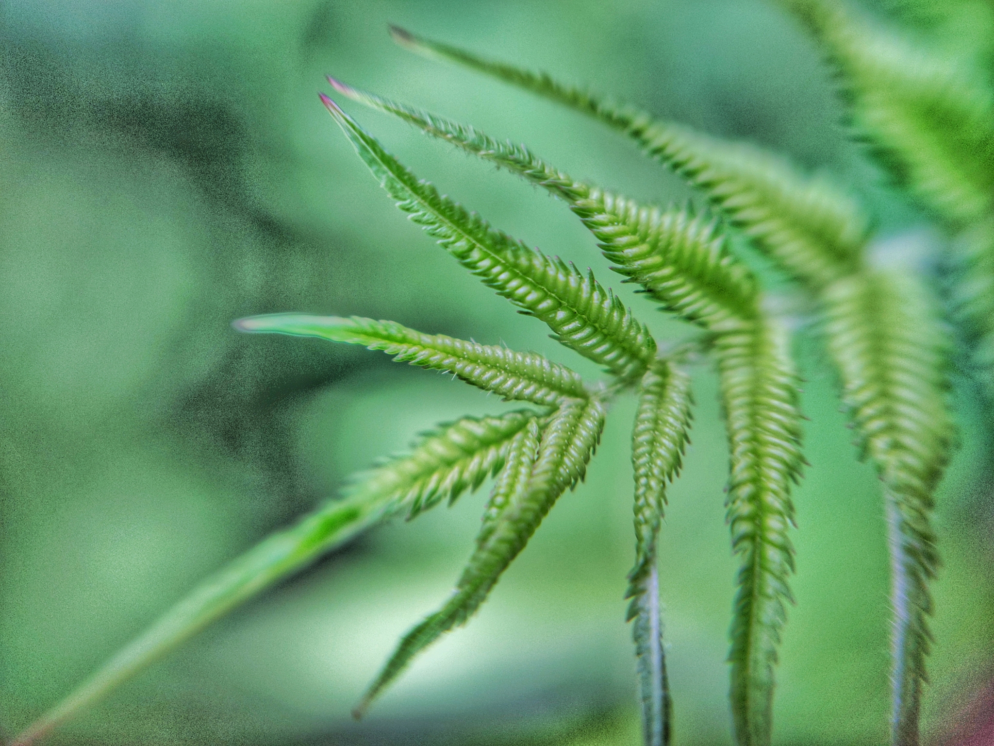 绍兴园艺学校2021年招生简章