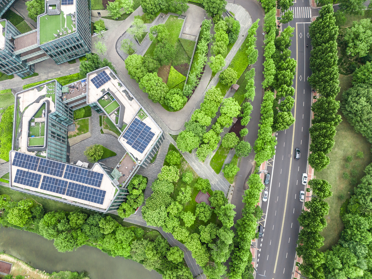 基于心理学原理的综合医院景观设计：融合自然元素与现代医疗环境