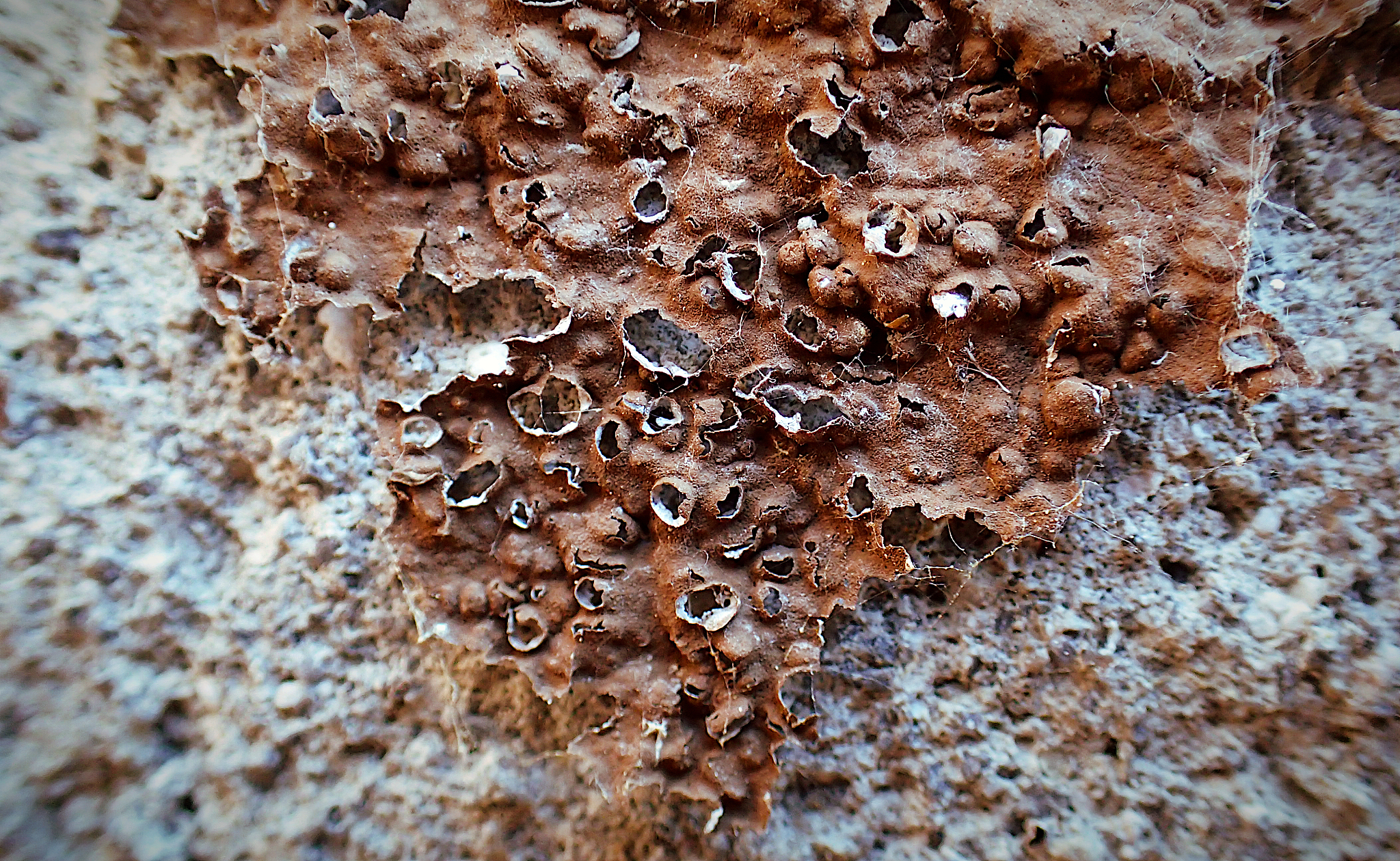 crumbled off paint