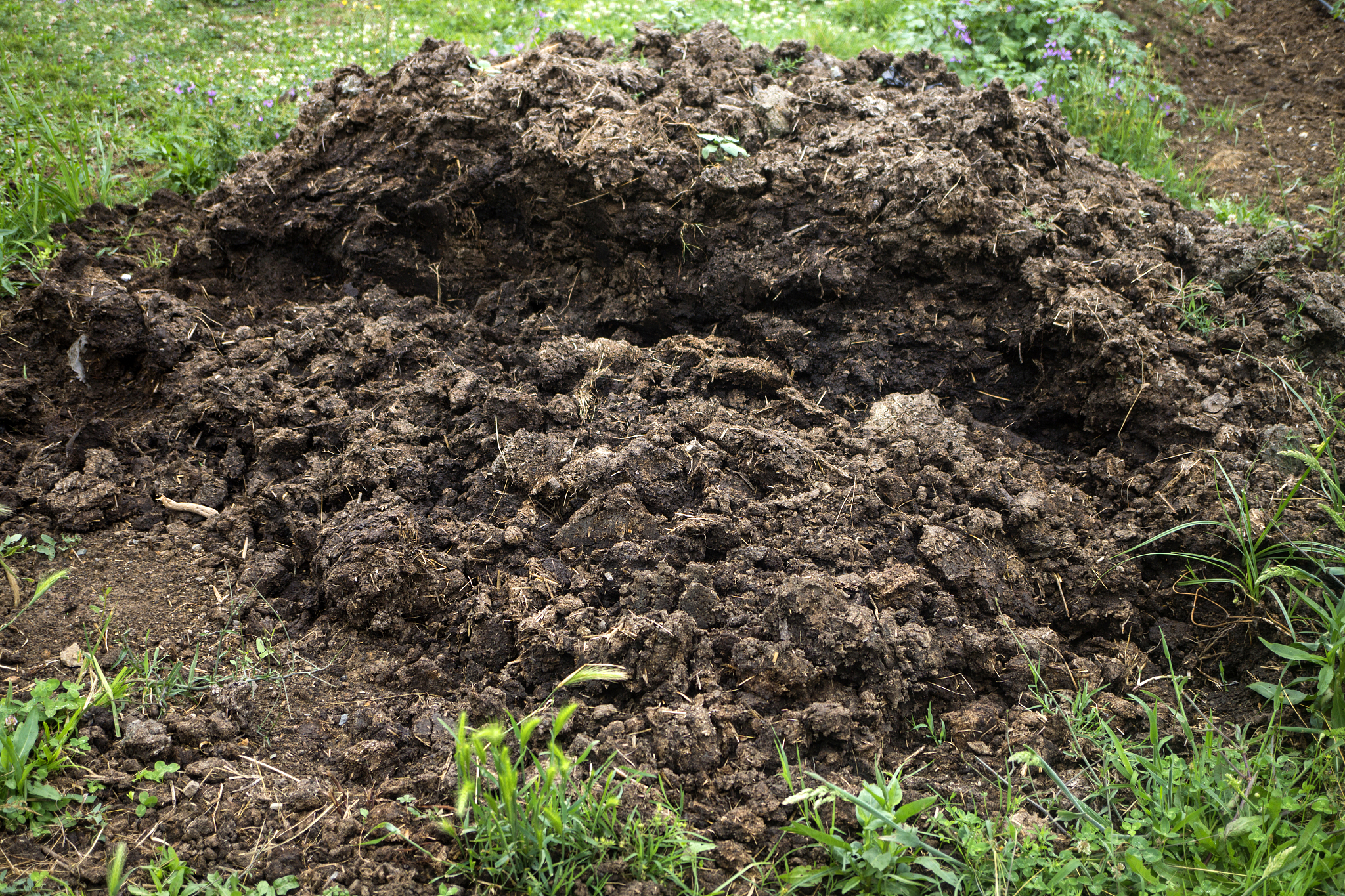 牛羊粪做有机肥几方可以出一吨成品肥料