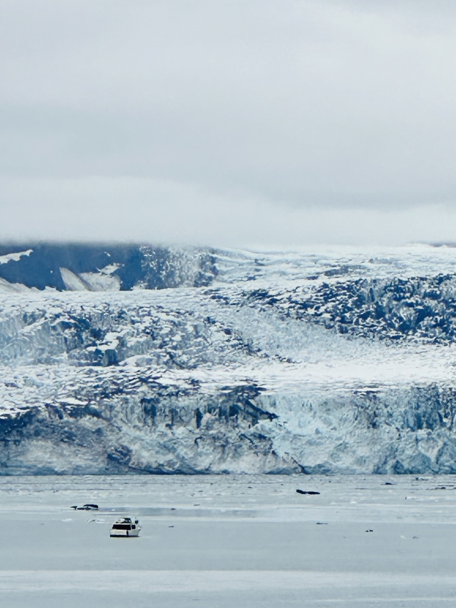 竹珍®多效护发精华的成分有哪些？