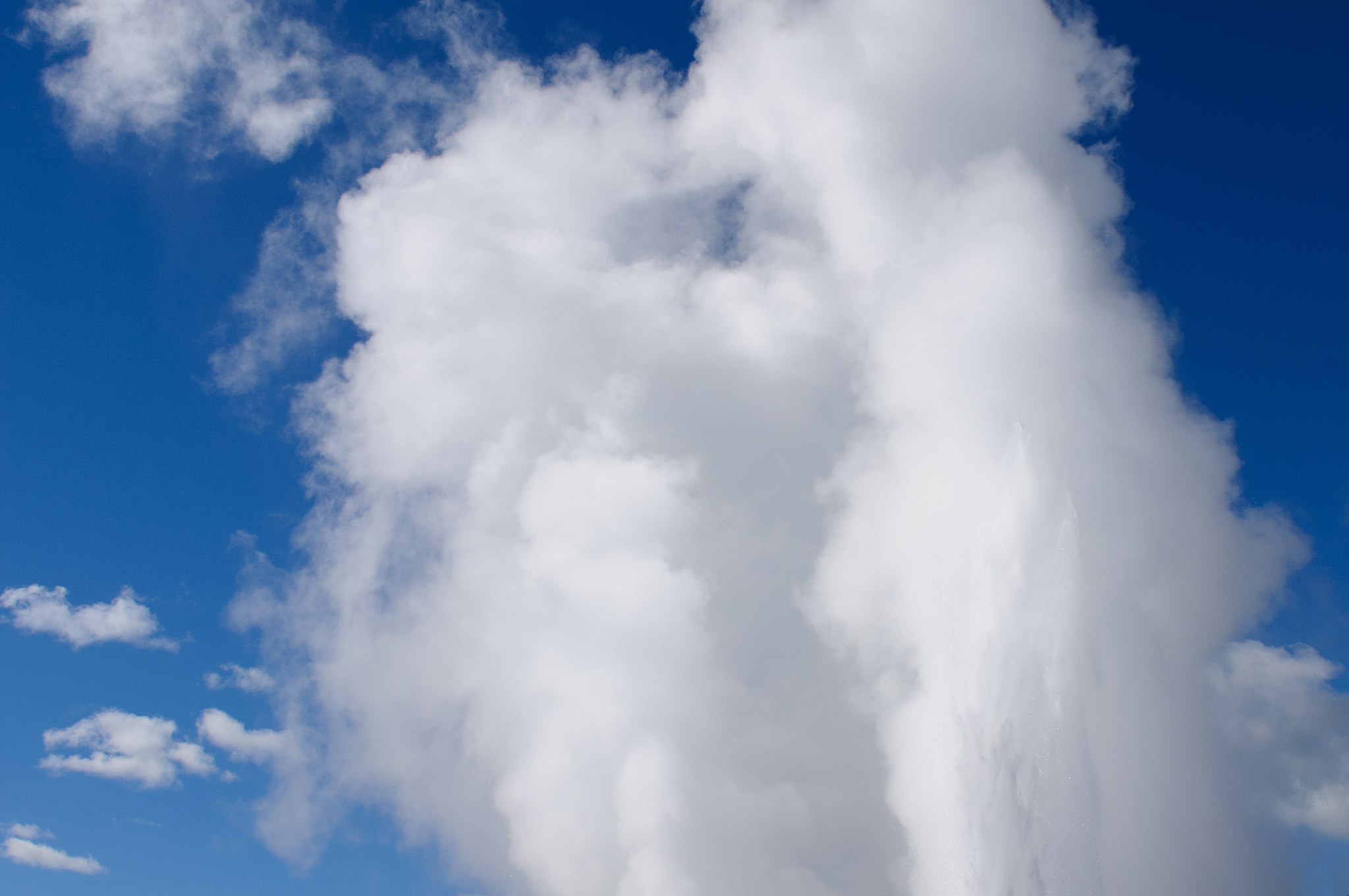 geyser eruption in te puia, rotorua