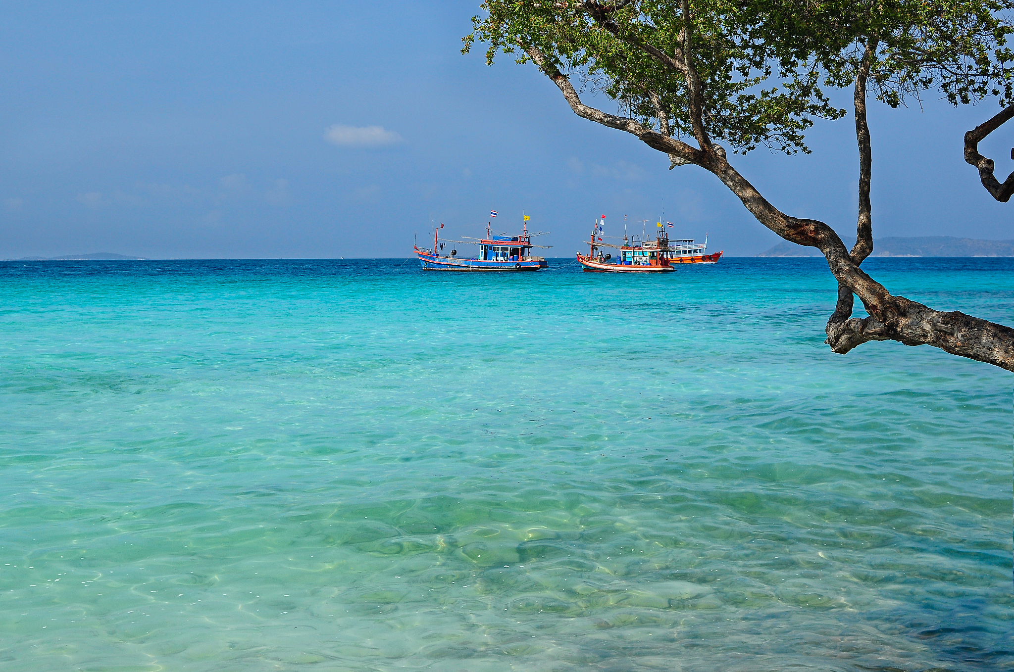 traditional boats in the turquoise sea in thailand