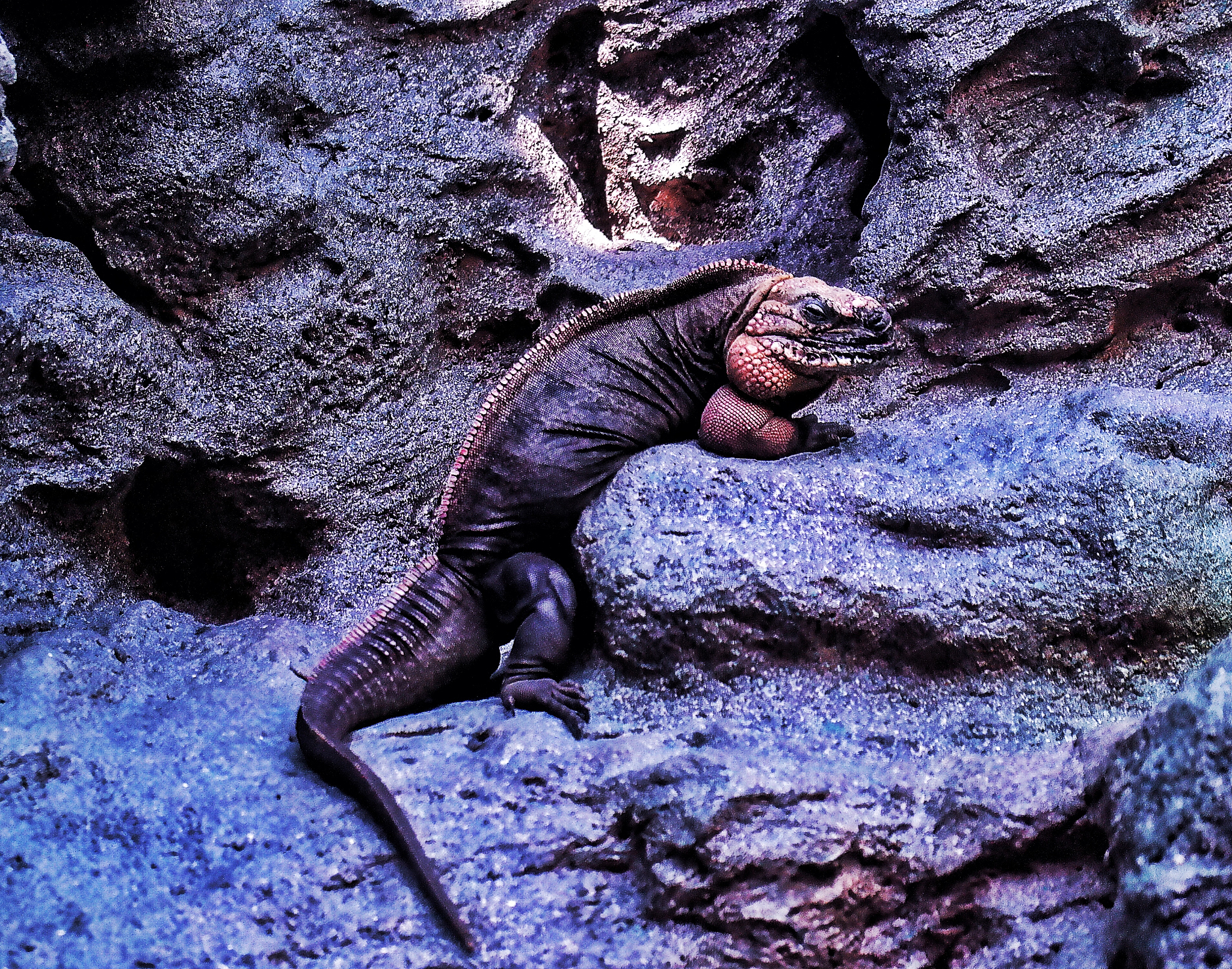 泰国湖怪：小镇的恐怖之夜