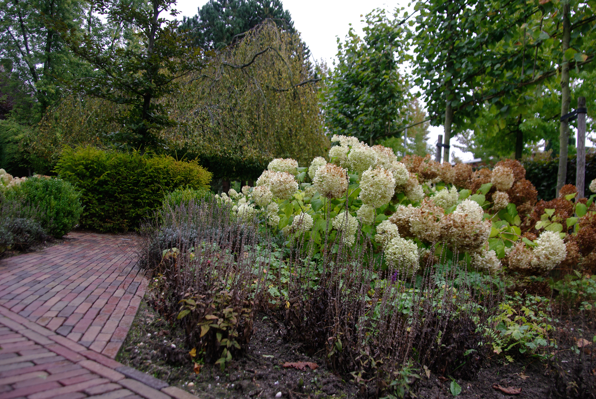 无锡市园林技工学校2022年招生简章