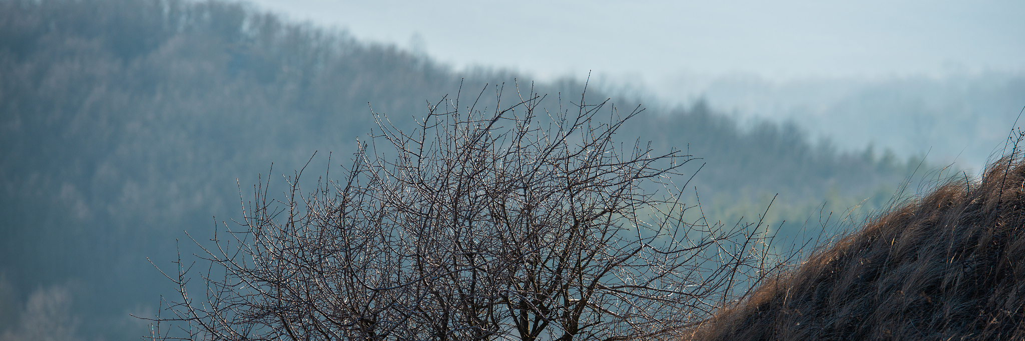 2019年职业技术学校的什么专业好