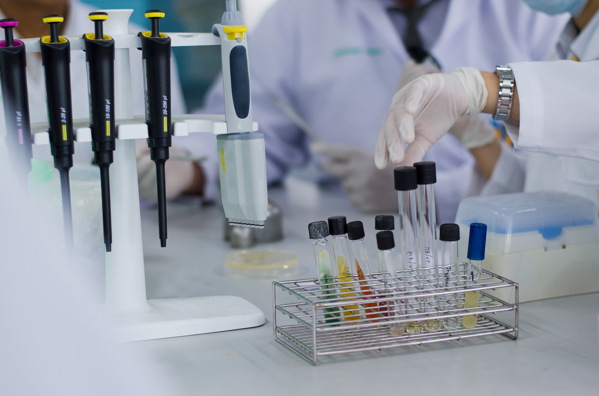 昆明市兽医学校2019年五年制大专新增招生专业-动物医学、兽医药学、动物疾病防治