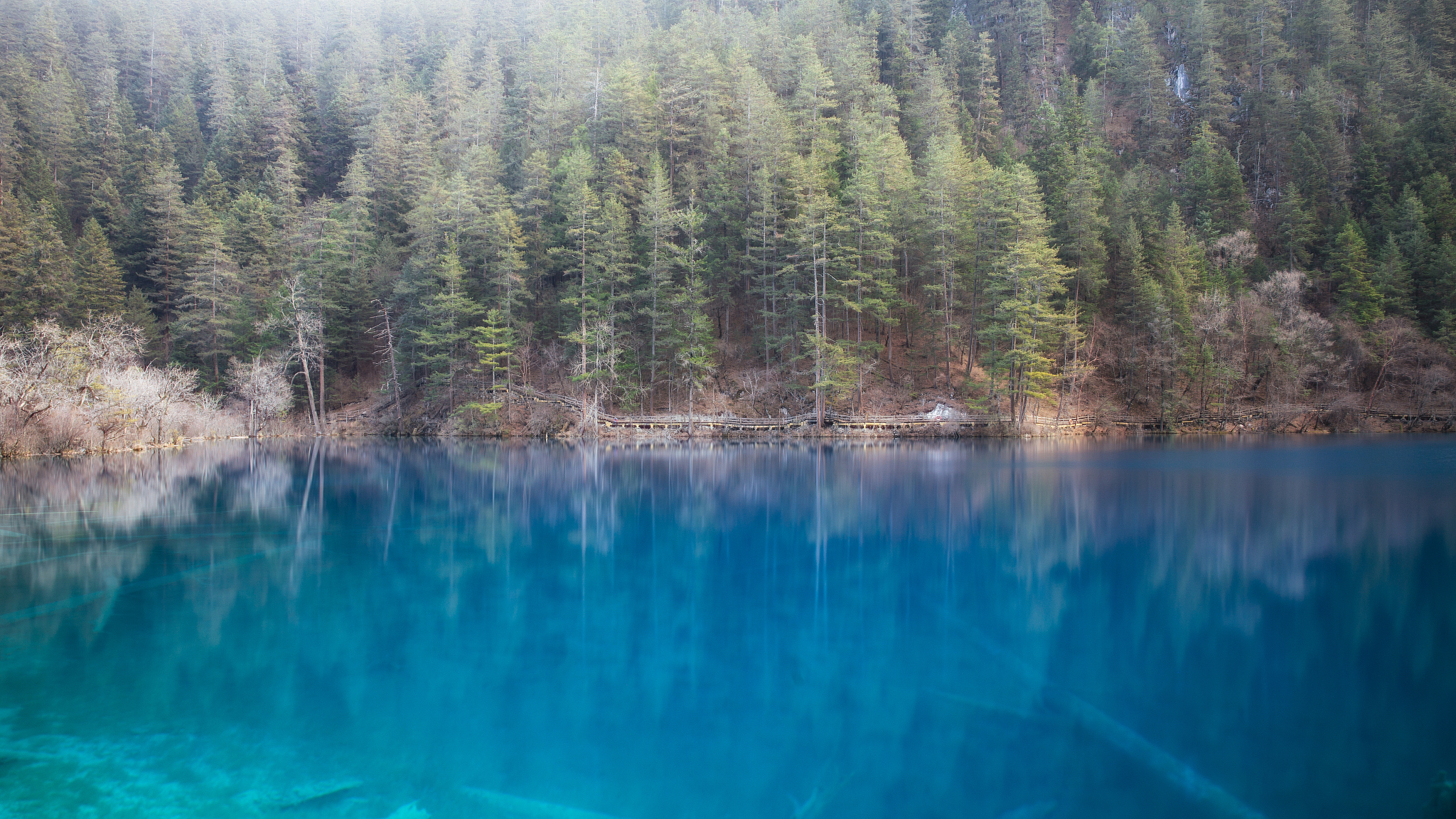 请以100字描述九寨沟的湖水