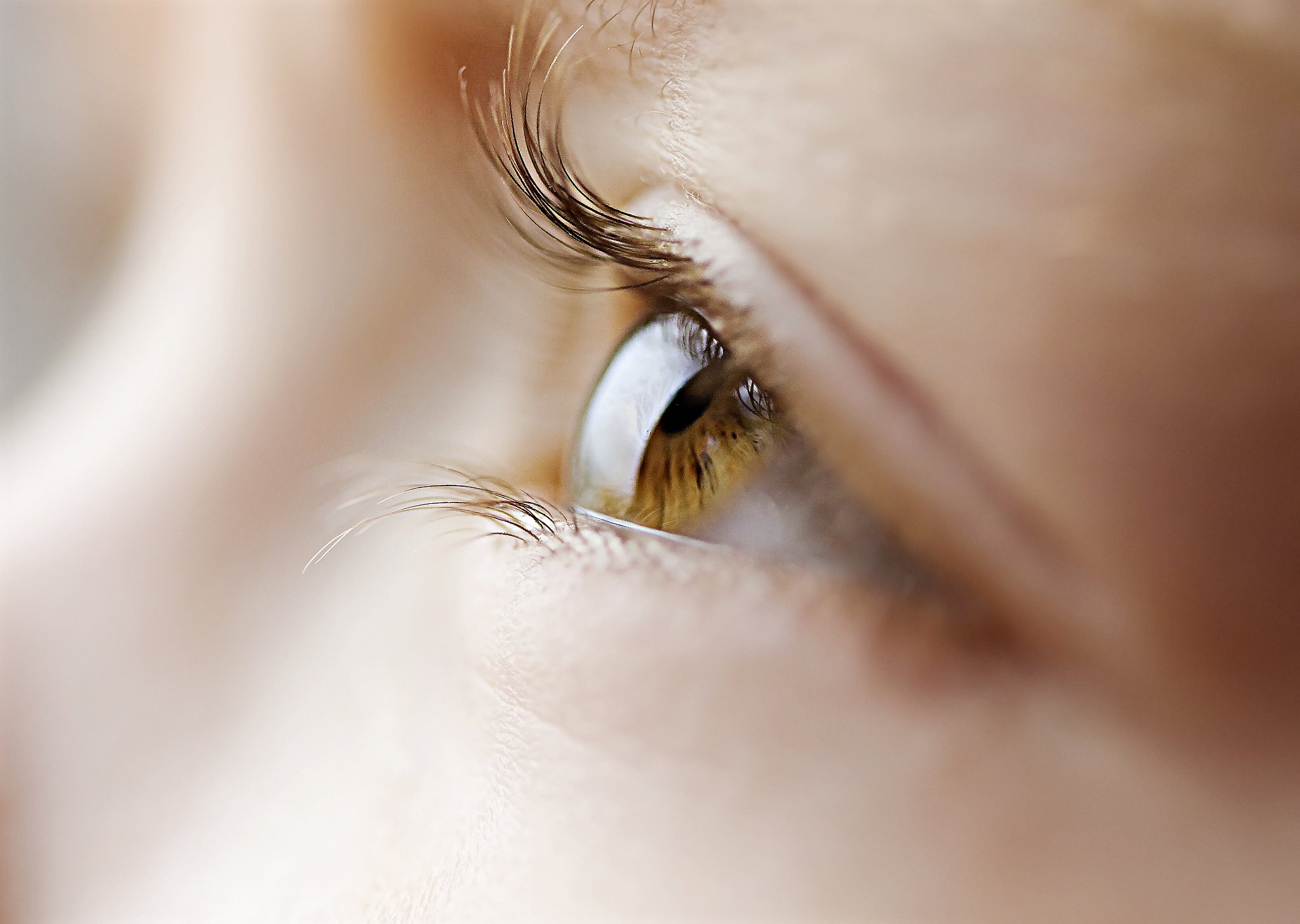 eyelashes