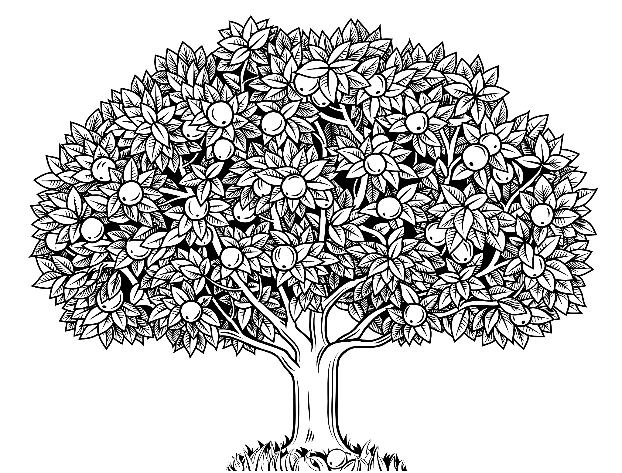 apple tree
