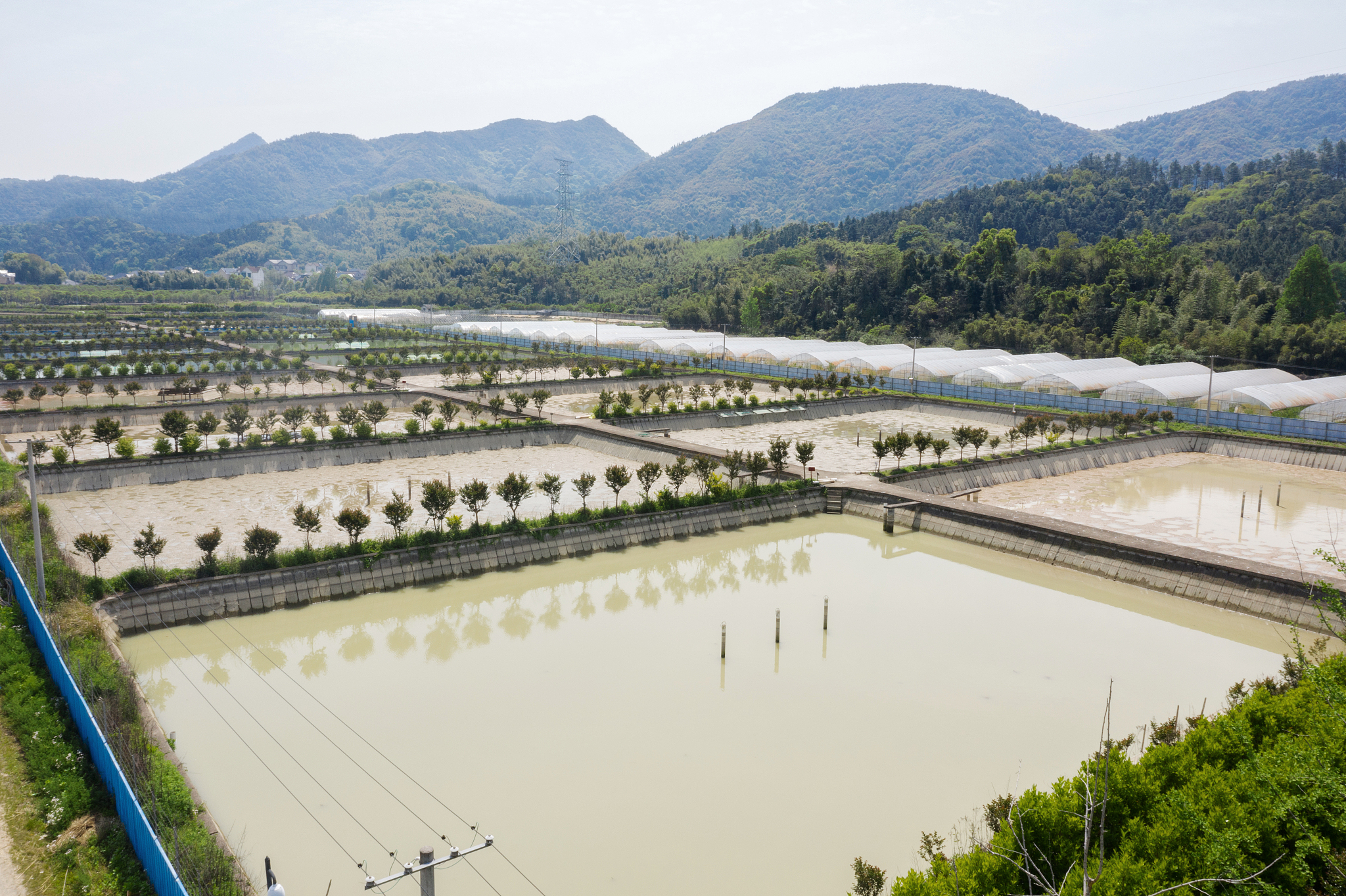 延吉市林蛙养殖和林蛙产业情况结合当地林蛙养殖的数据和地区数据进行描写延吉市林蛙产业发展大约600字