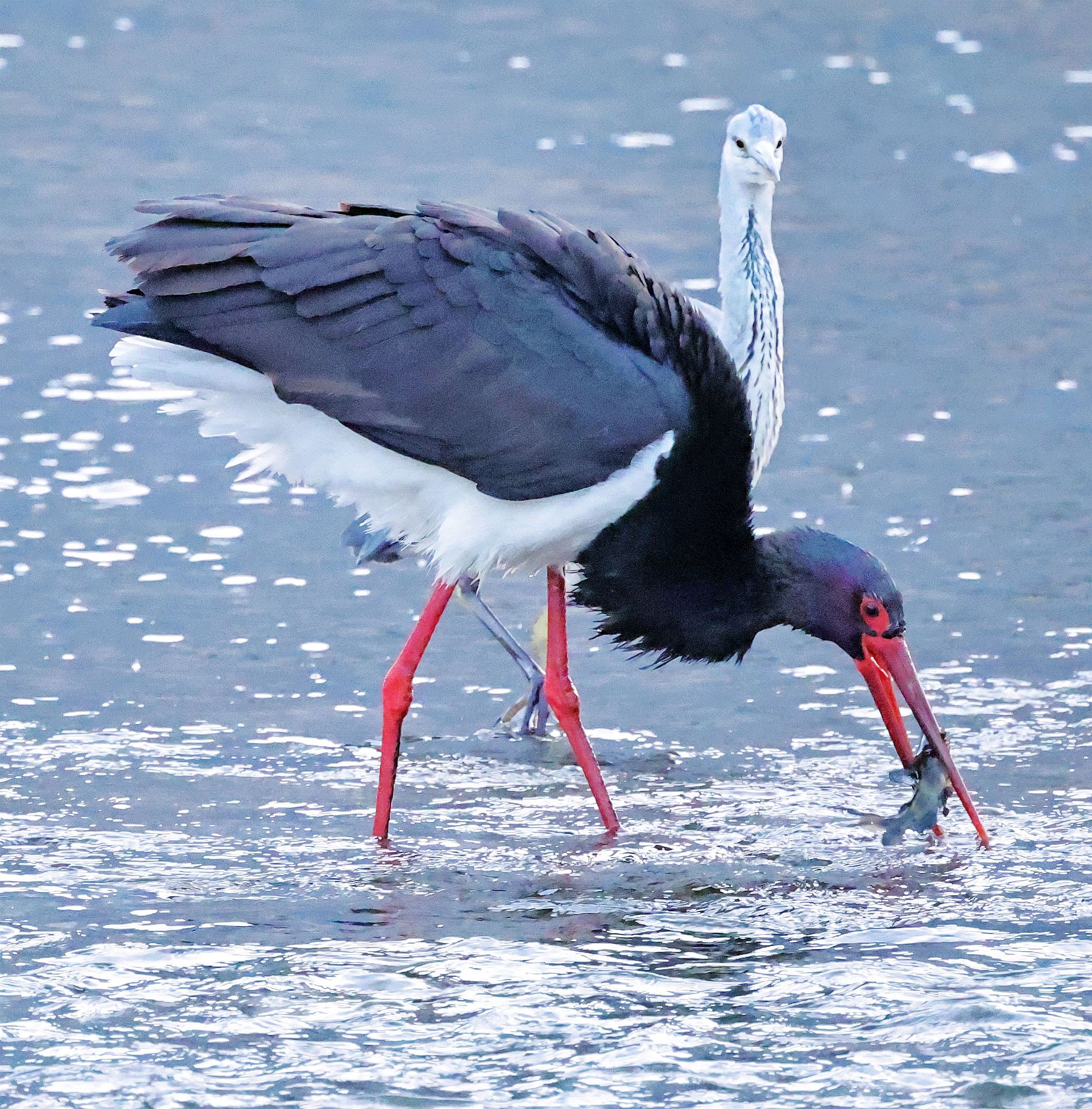 为什么别人高调张扬依然没人嫉妒我低调友善却有人嫉恨