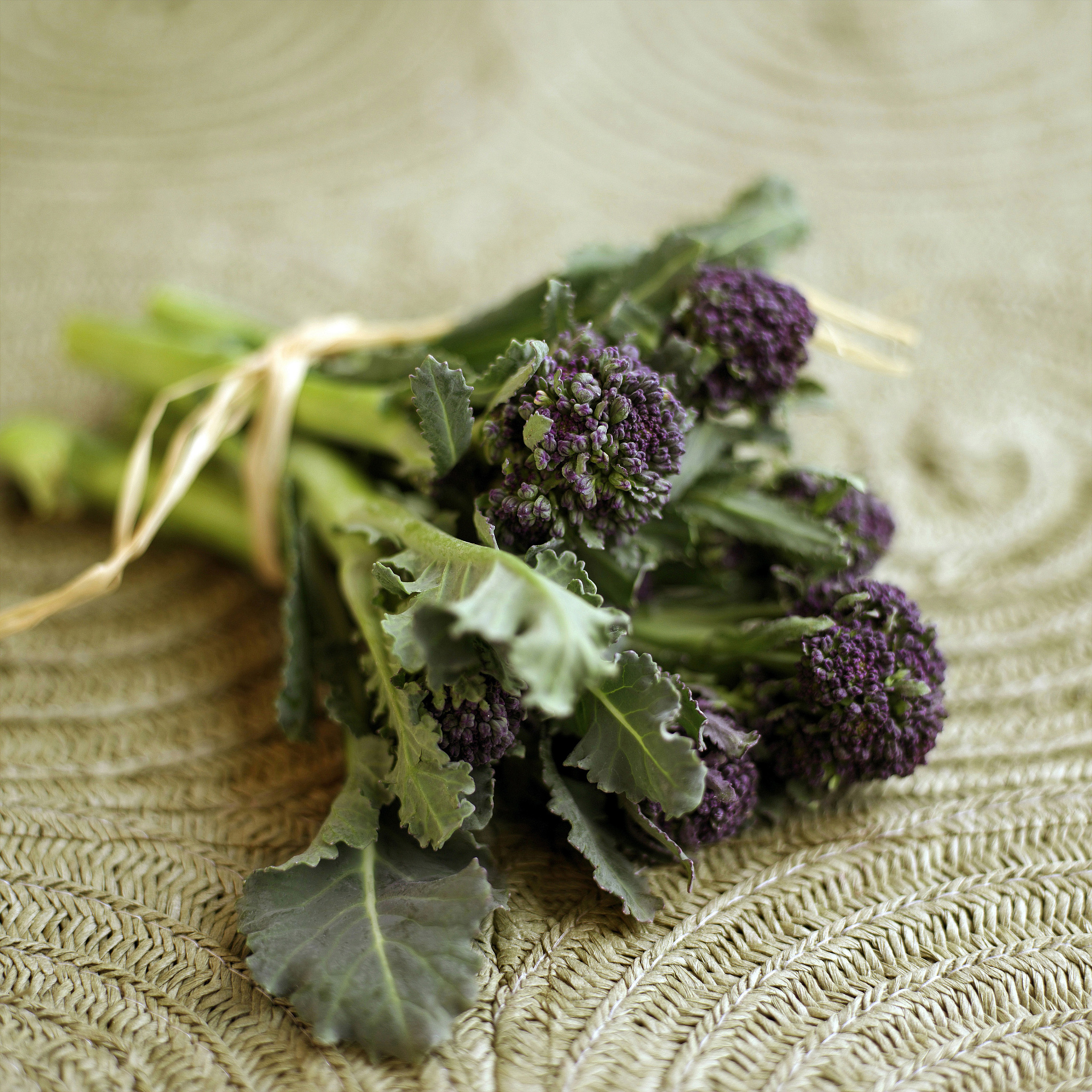 紫苏草药介绍：功效、烹饪和用途