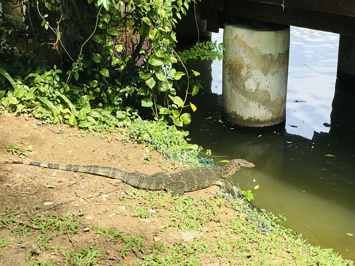 水环境监测与分析专科就业前景好不好？