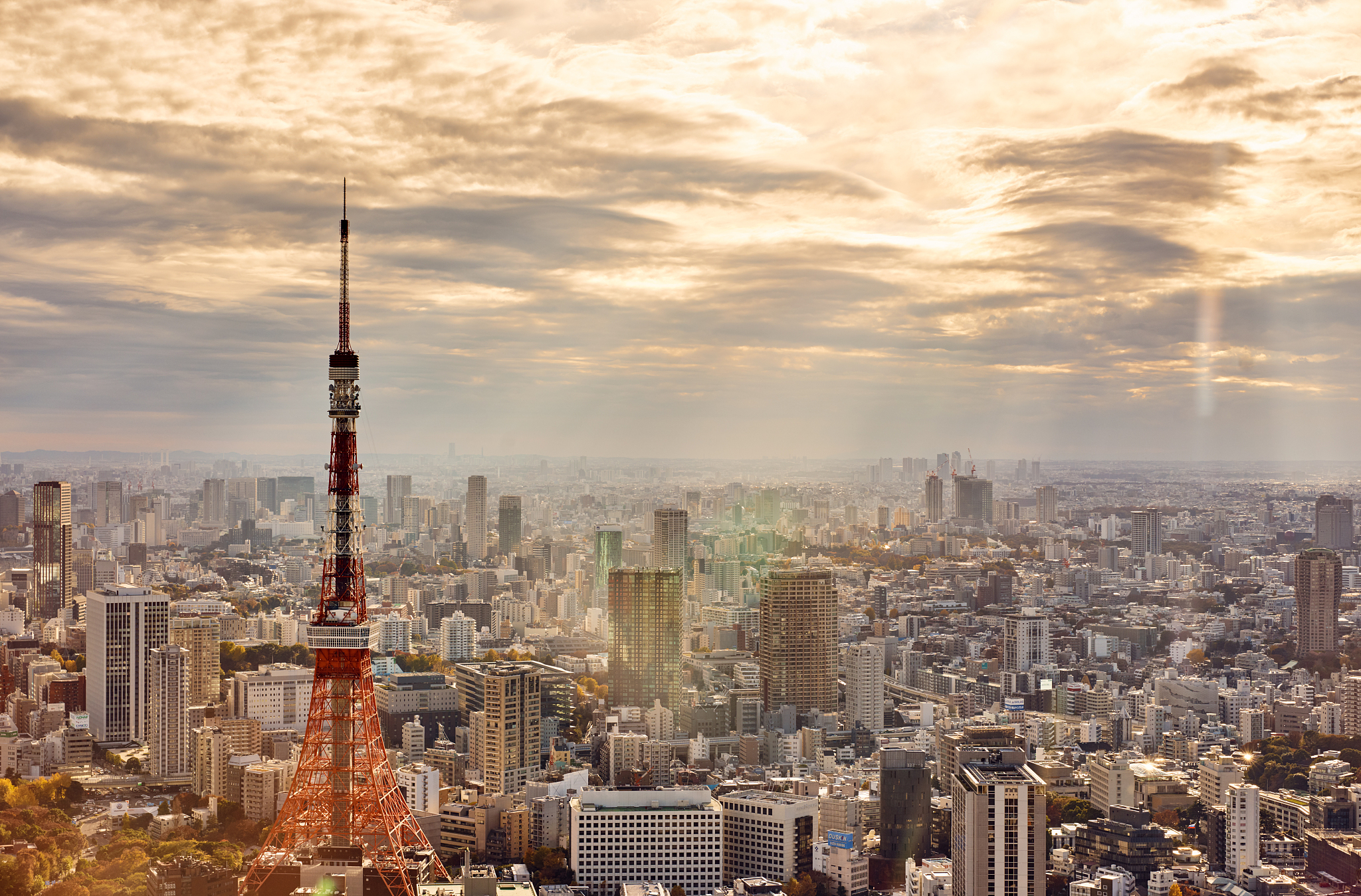 skyline of tokyo, japan with the tokyo tower