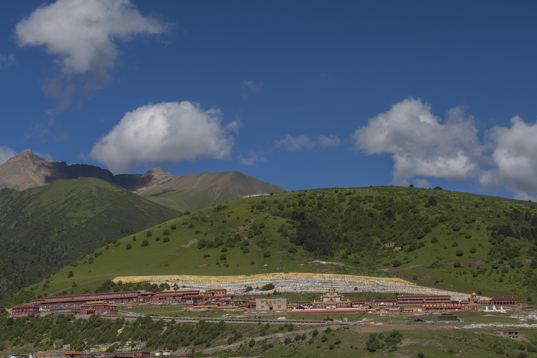 香格里拉到灵芝要经过多吉乡路线回答+拓展。