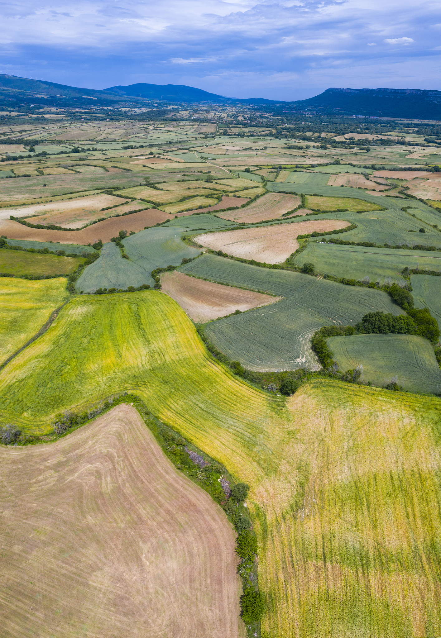 agricultural landscape, cuestahedo, merindad de montija, burgos,
