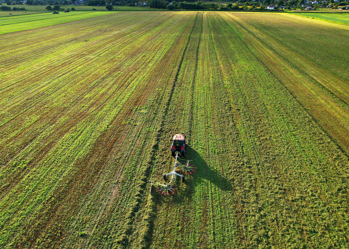 用恒古 默契 田垄 埋葬 土壤 丰饶写一段30字话