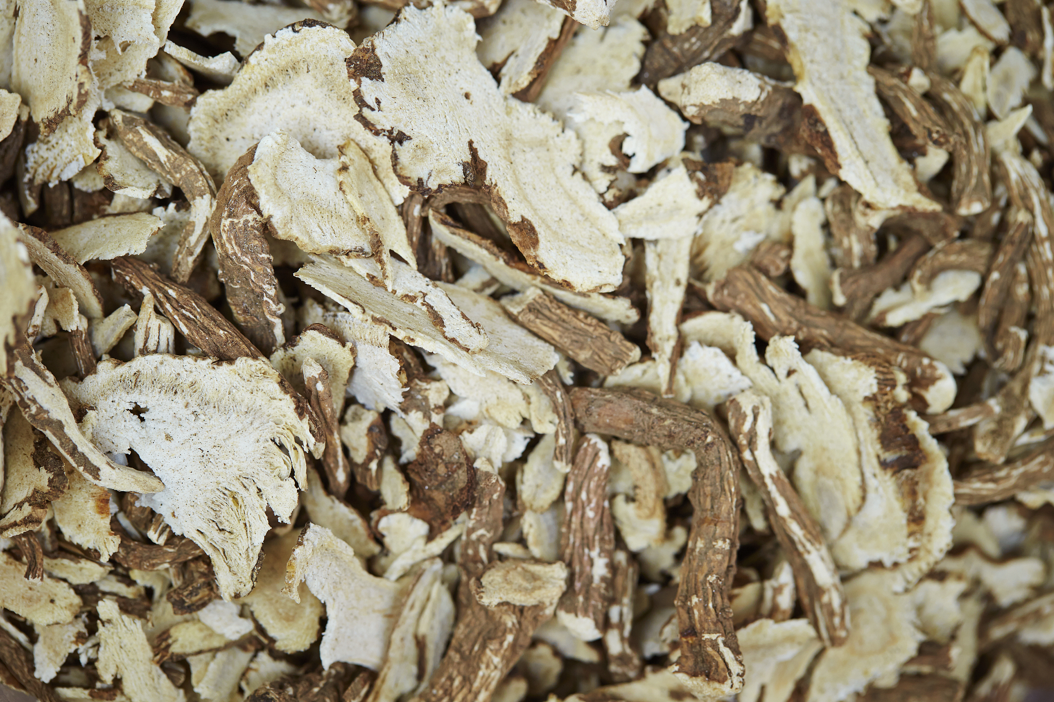 大学中医专业怎么样？值得报考吗？