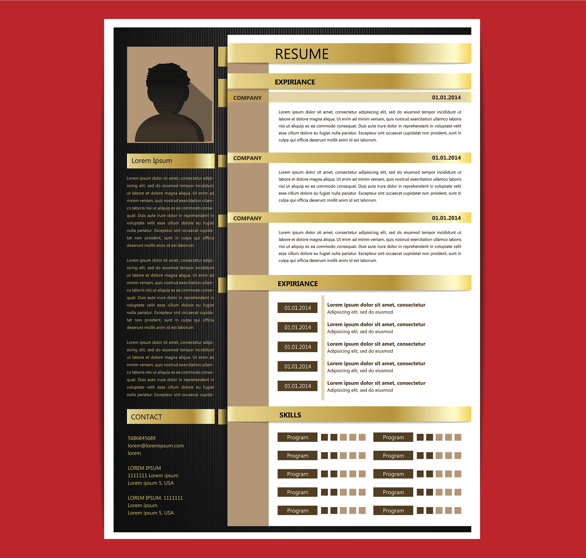 北京师范大学应届毕业生家教简历 - 经验丰富，擅长个性化教学