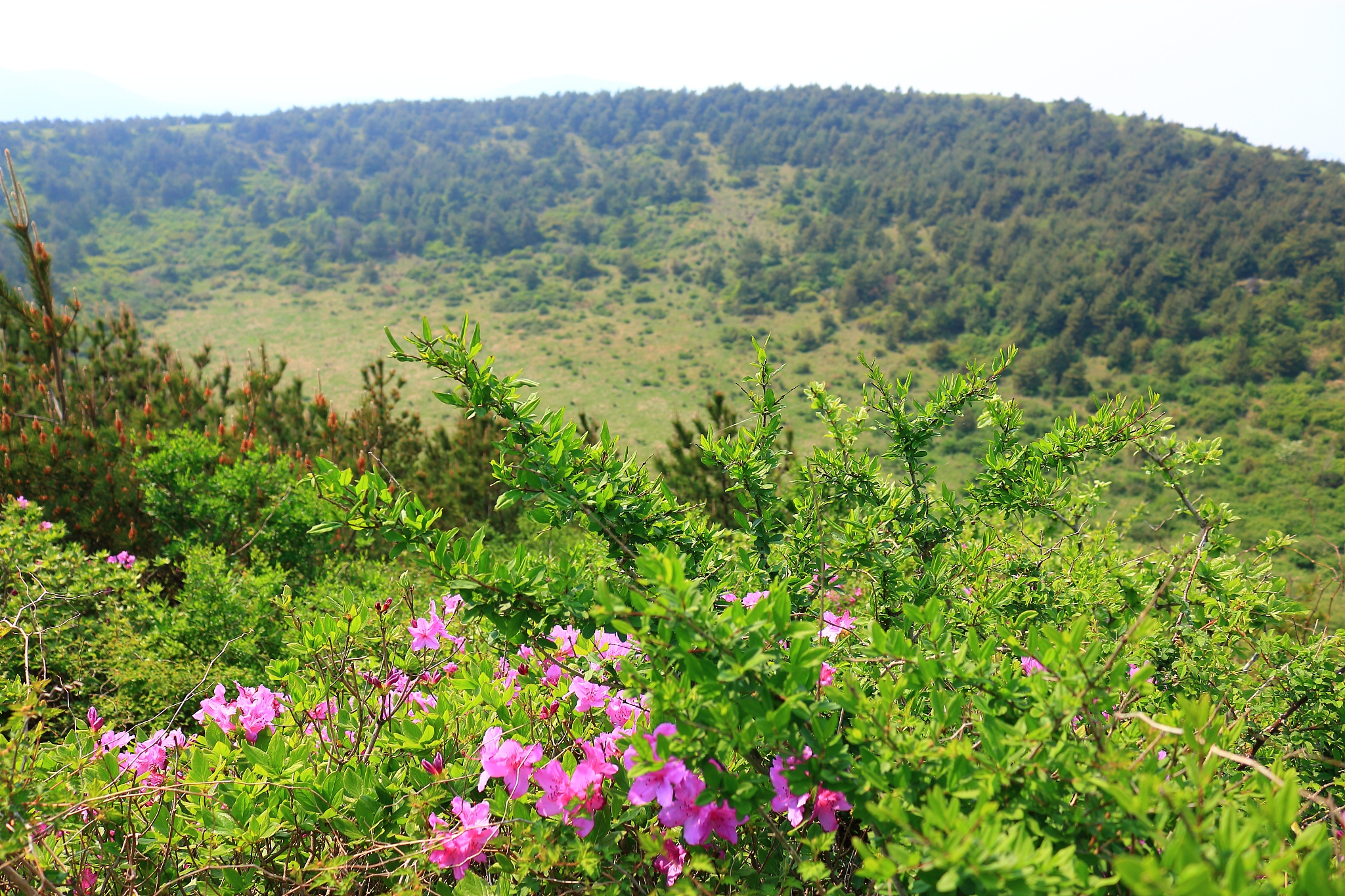 white pill, garden, hill, mountain, crater